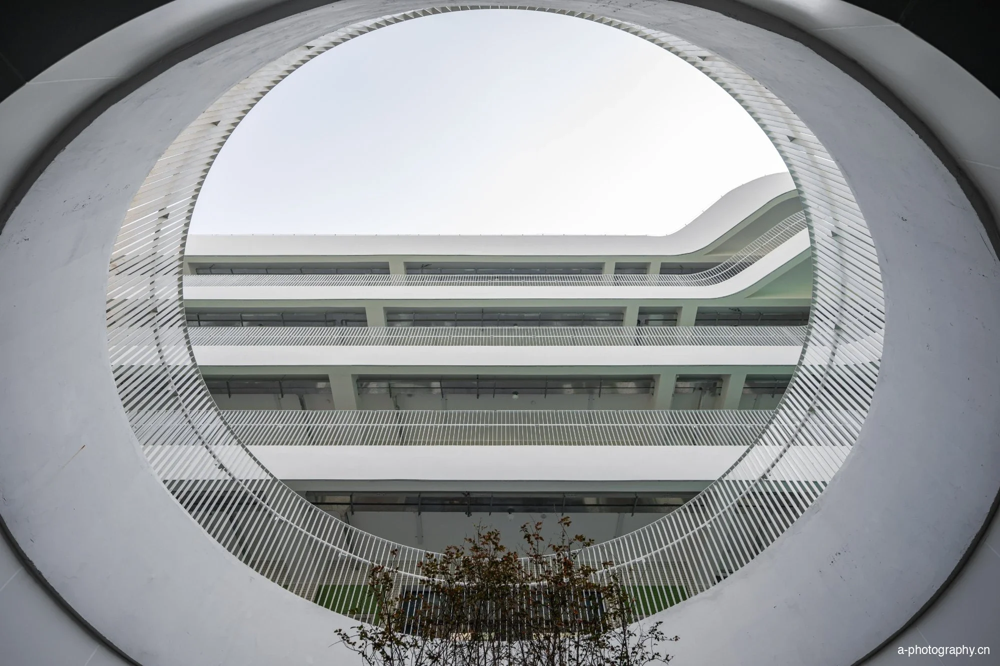华南师范大学附属乐从小学 影像 26