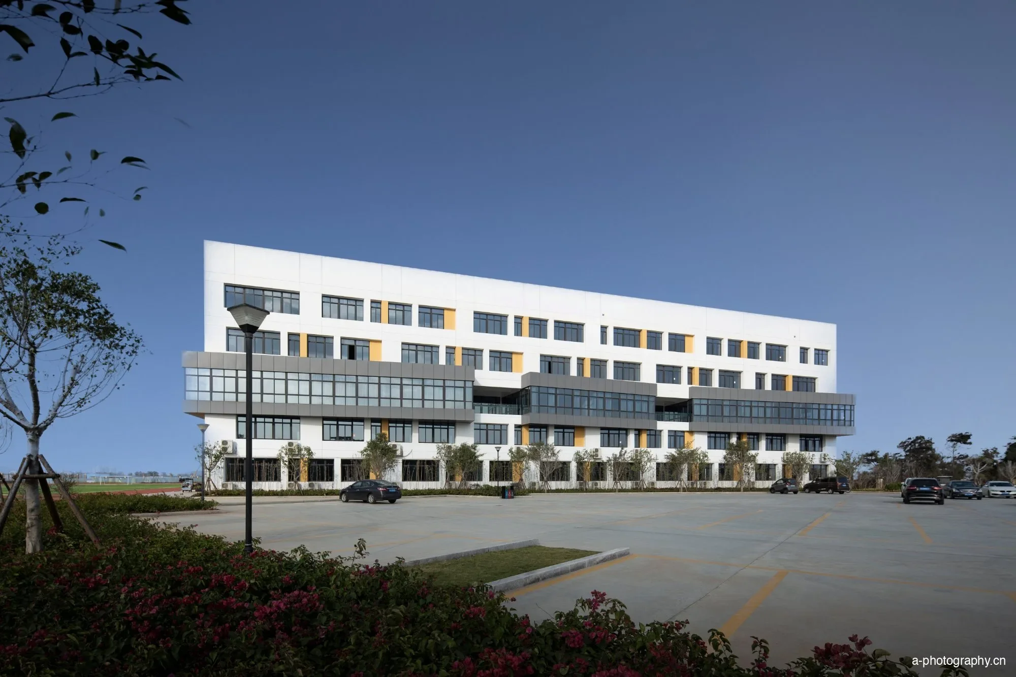 星纪园小学 影像 10