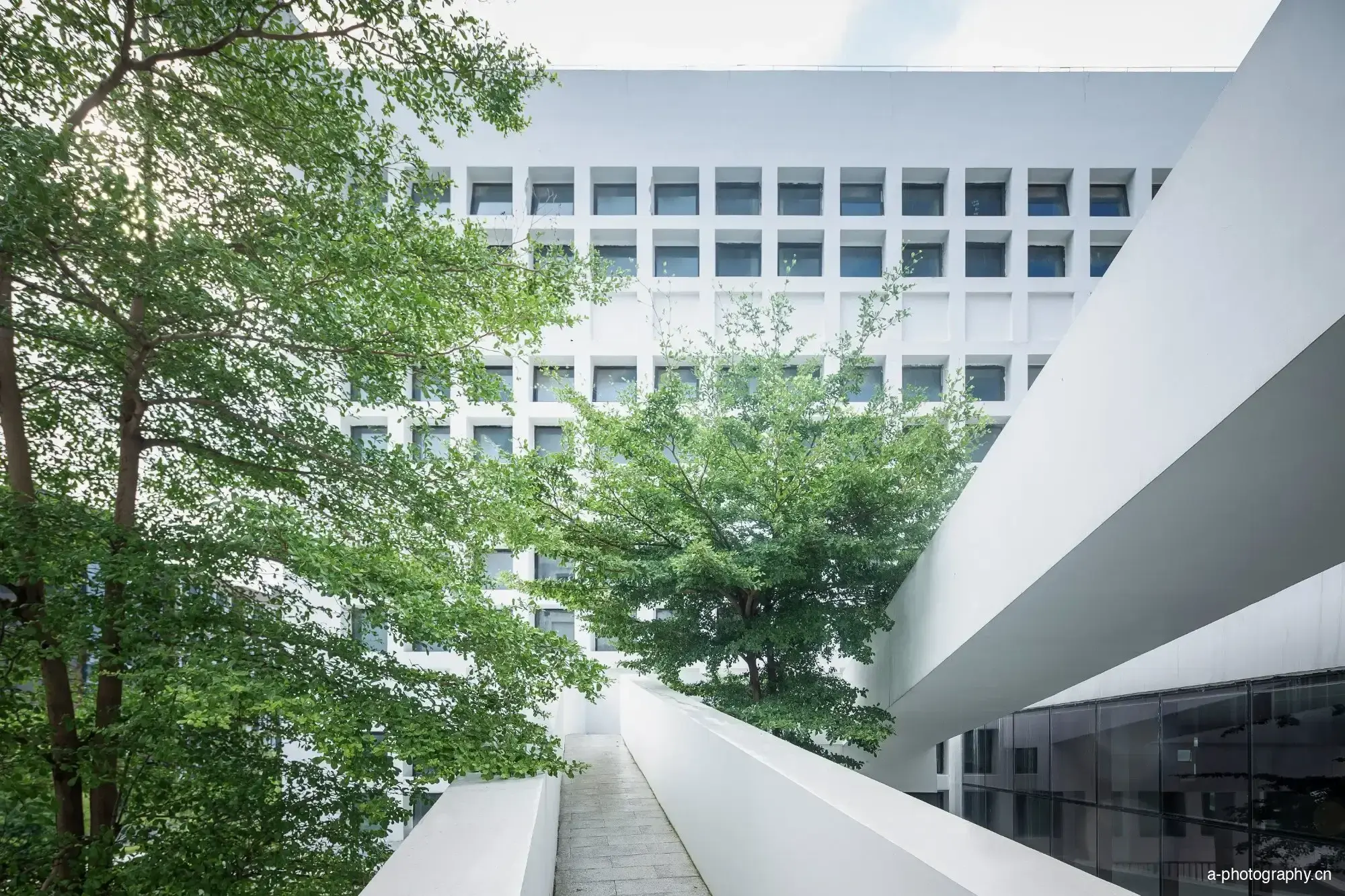 广东酒店管理职业技术学院 影像 12