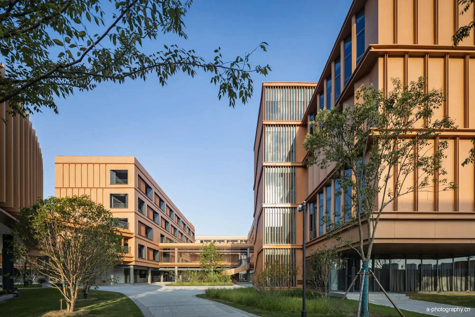 梅村高级中学空港校区 - 建筑摄影 3