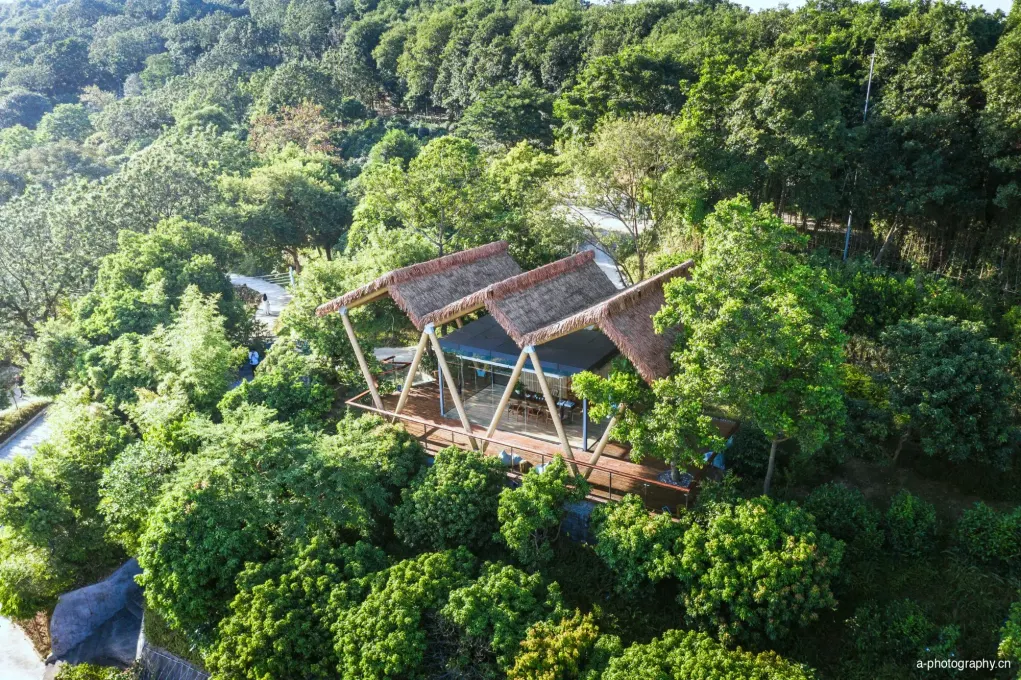 长岭居茶楼 影像 8