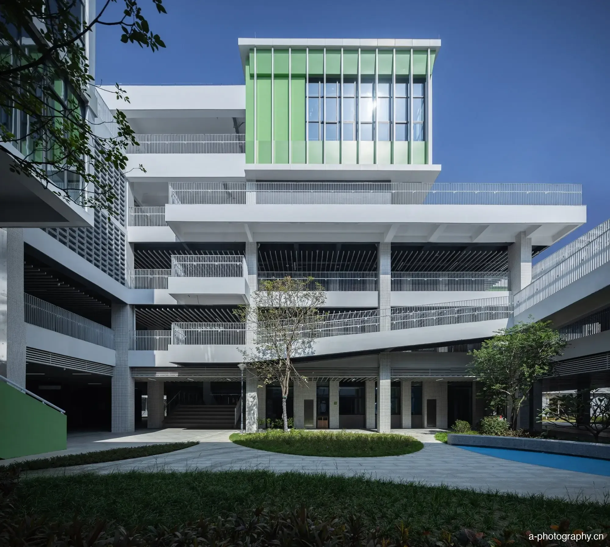 华南师范大学附属乐从小学 影像 9