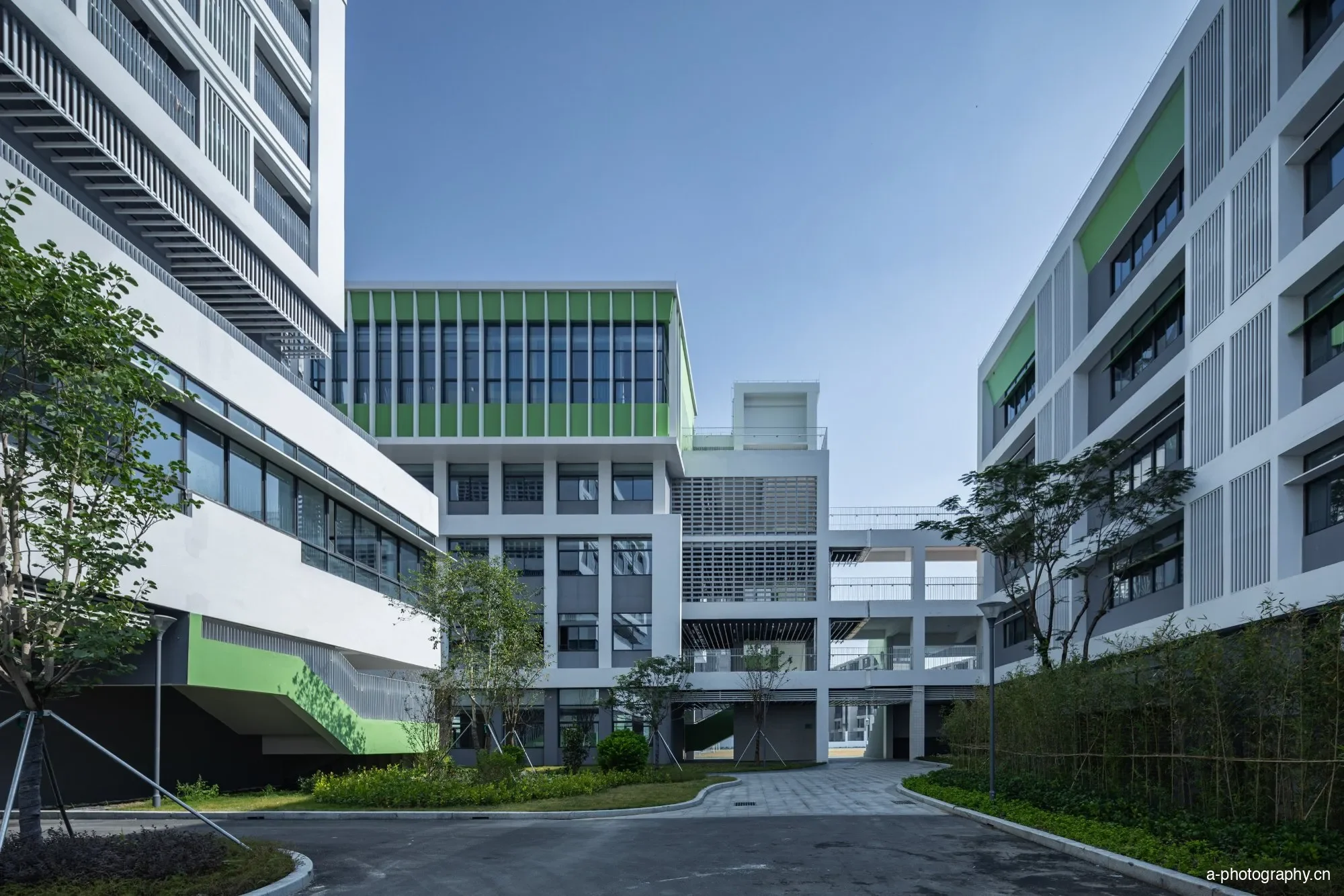 华南师范大学附属乐从小学 影像 24
