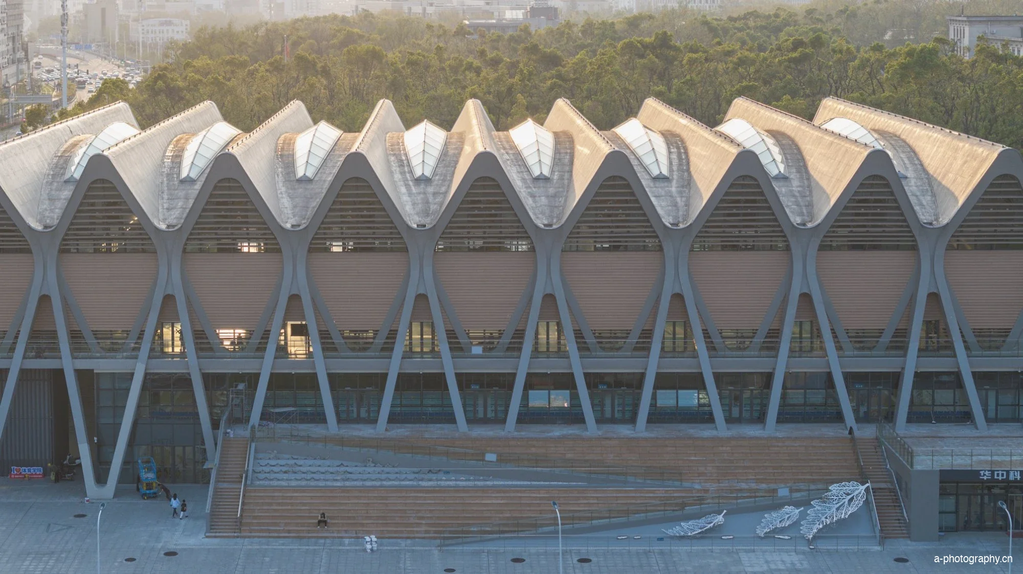 华中科技大学游泳馆 影像 14