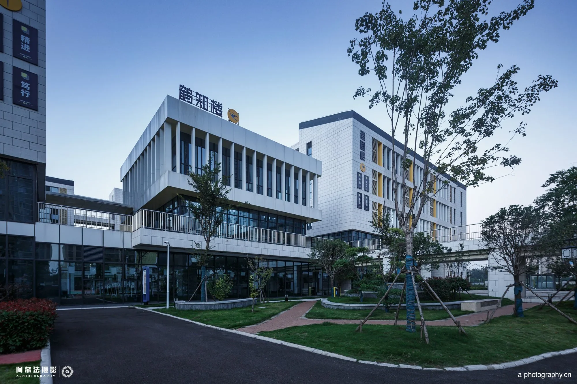 郑州金沙湖小学 影像 5