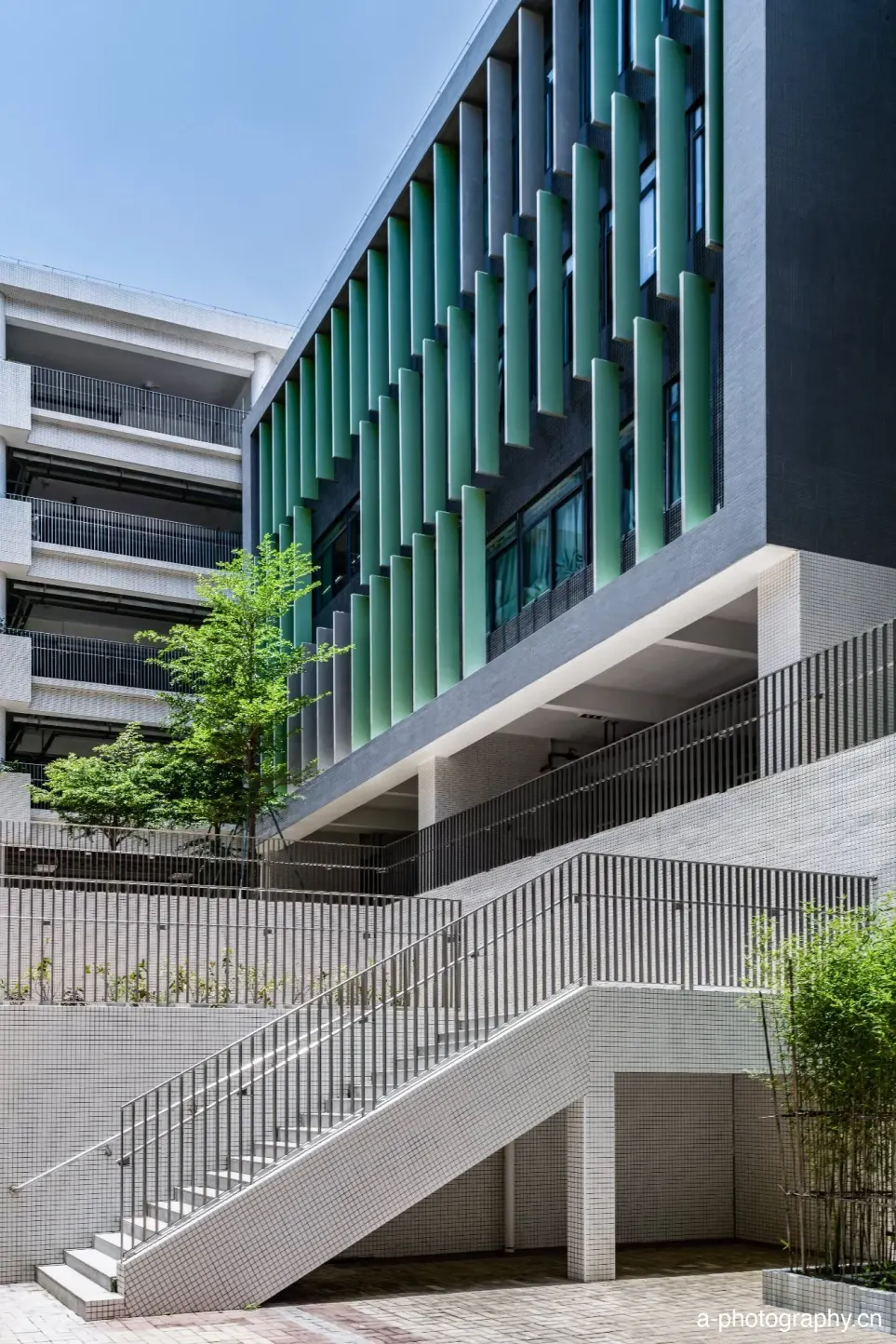 广东省教育研究院黄埔实验学校 影像 15