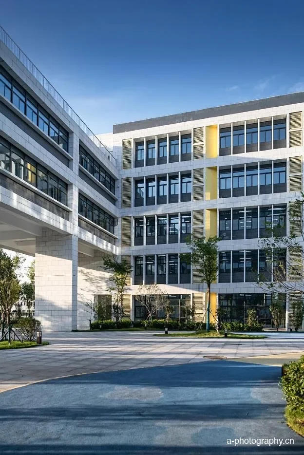 郑州金沙湖小学 影像 7