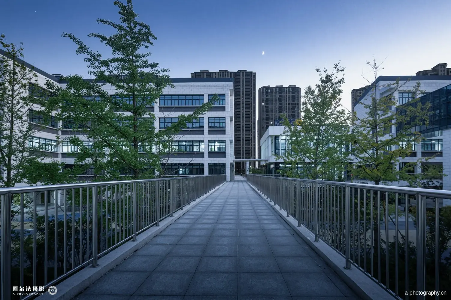 郑州金沙湖小学 影像 2