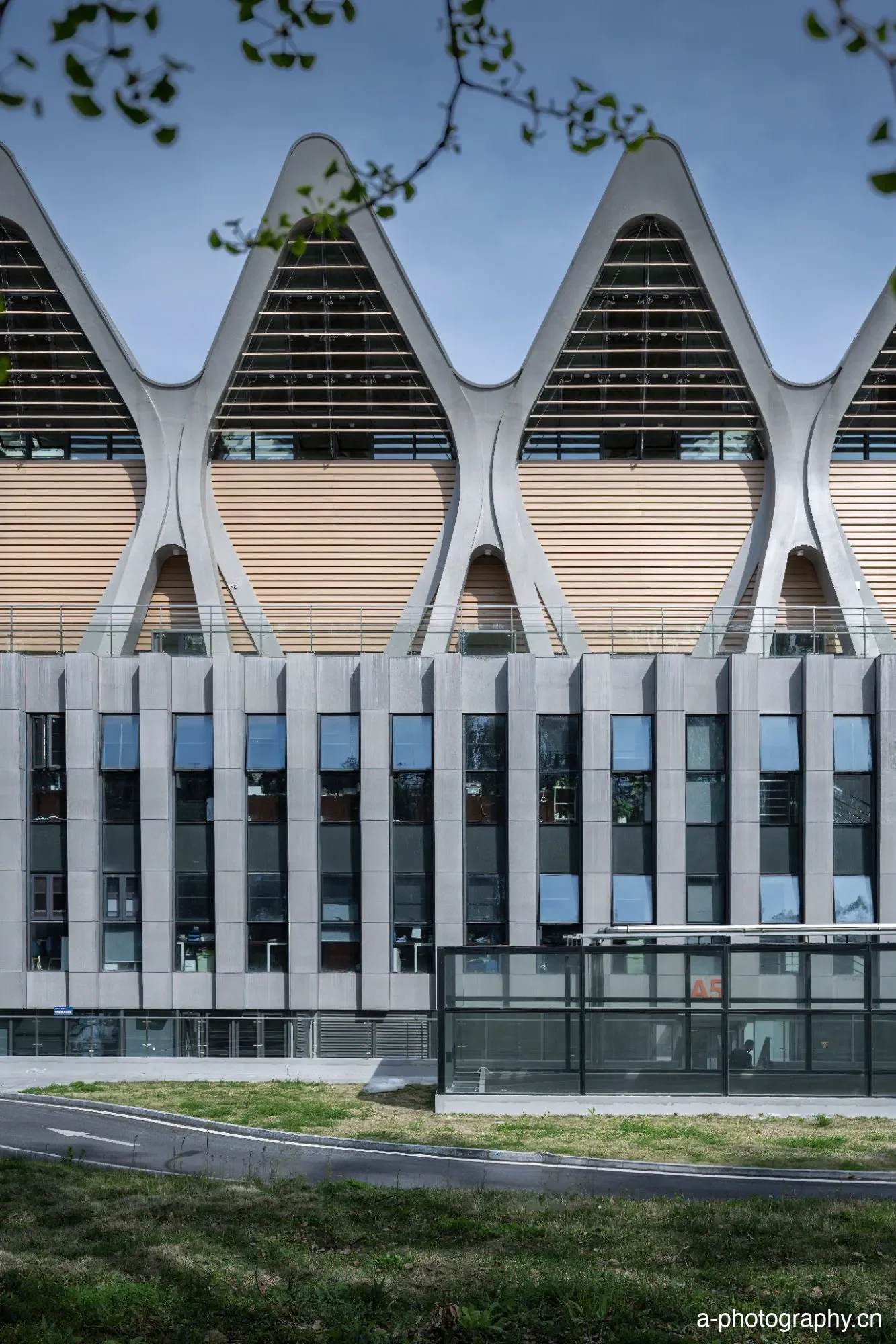 华中科技大学游泳馆 - 建筑摄影