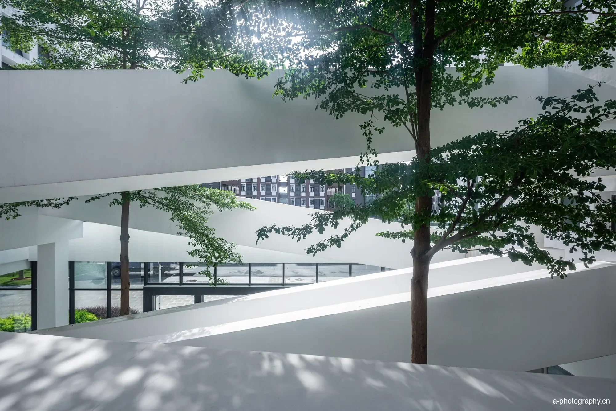 广东酒店管理职业技术学院 影像 11