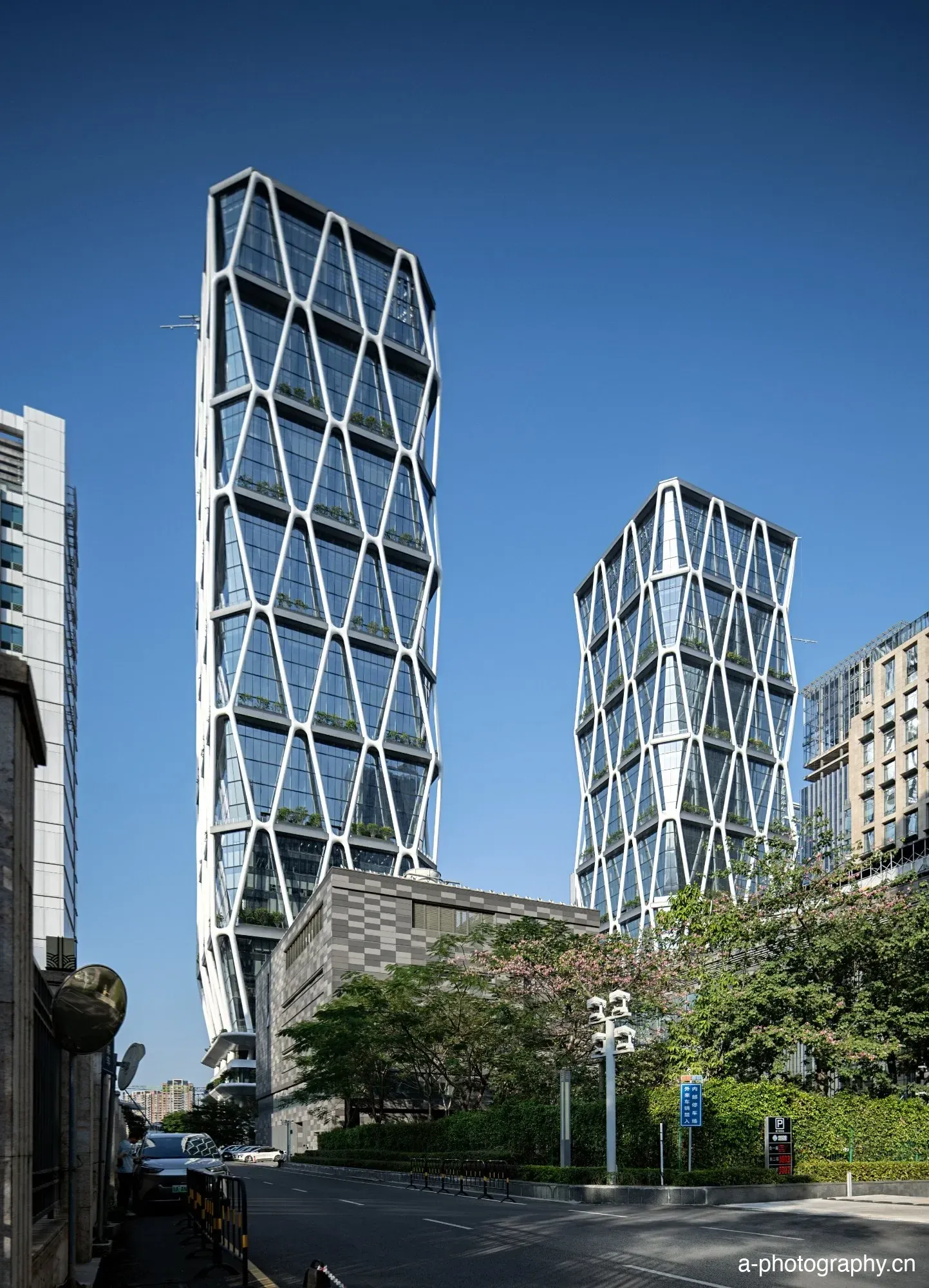 琶洲树根互联 影像 1