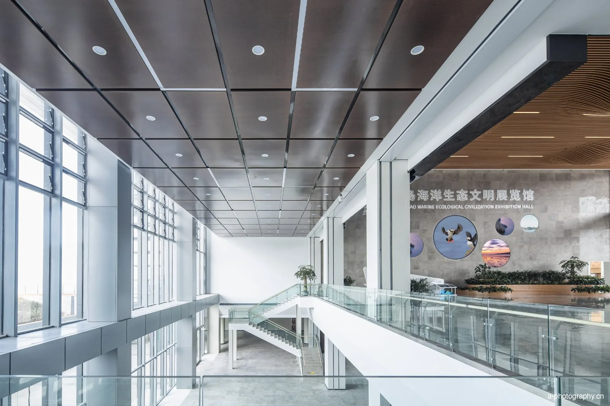 烟台长岛展览馆 影像 8