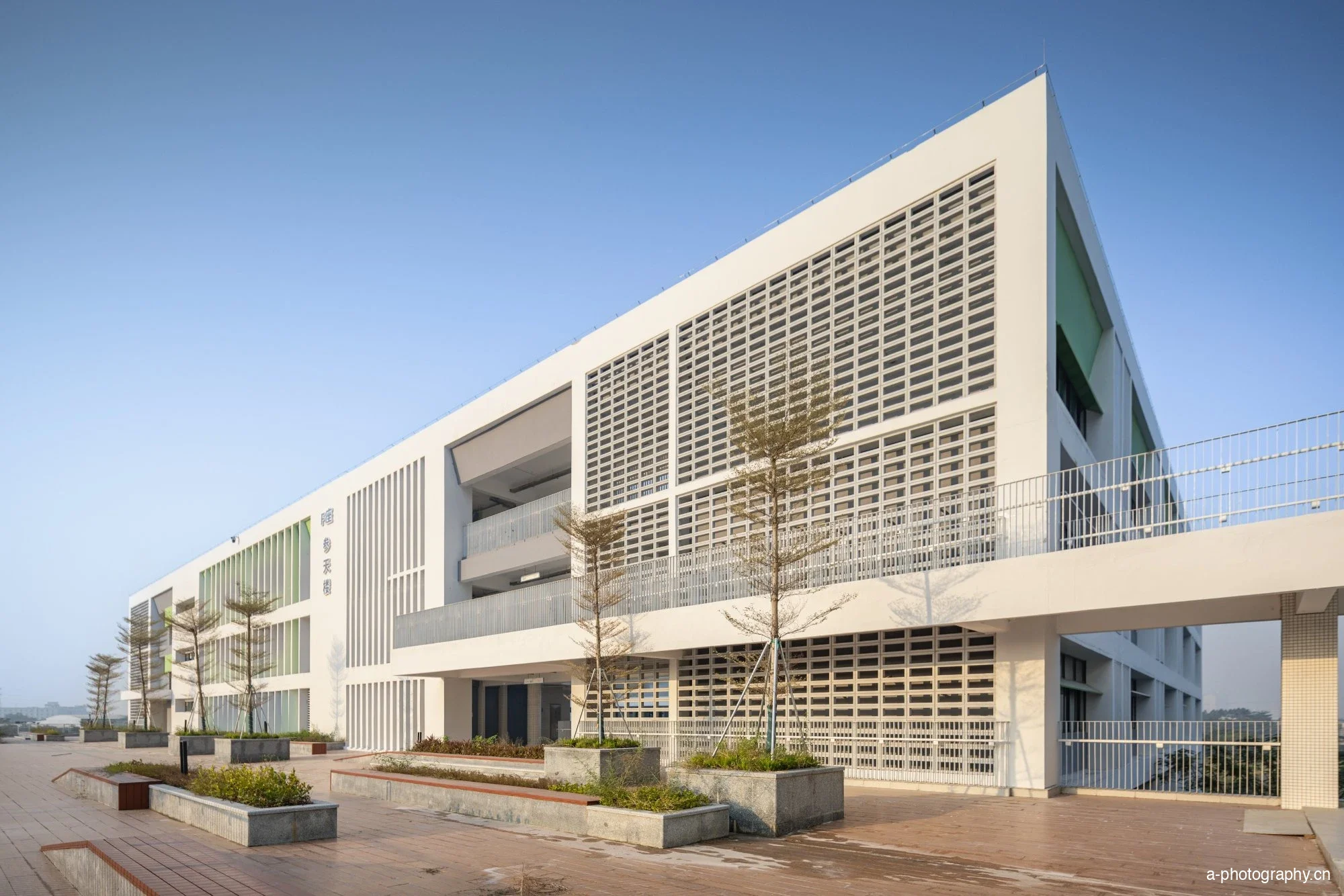 华南师范大学附属乐从小学 影像 25