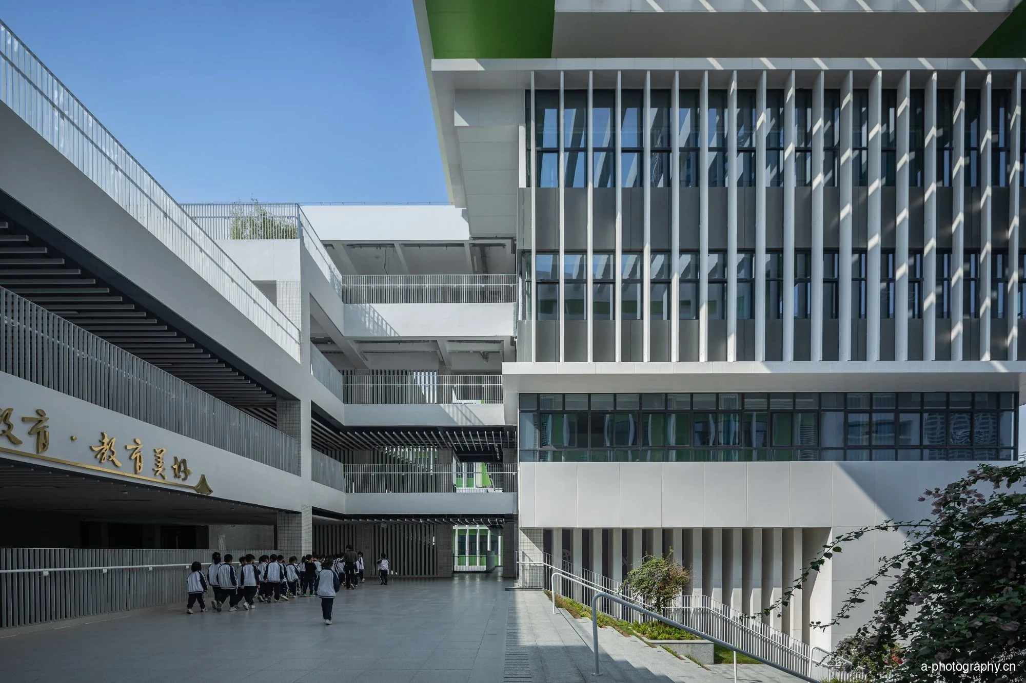 华南师范大学附属乐从小学 影像 13
